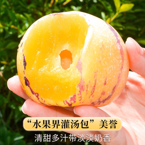正宗云南人参果新鲜石林人参果圆果人参果应季黄白肉人参果子水果