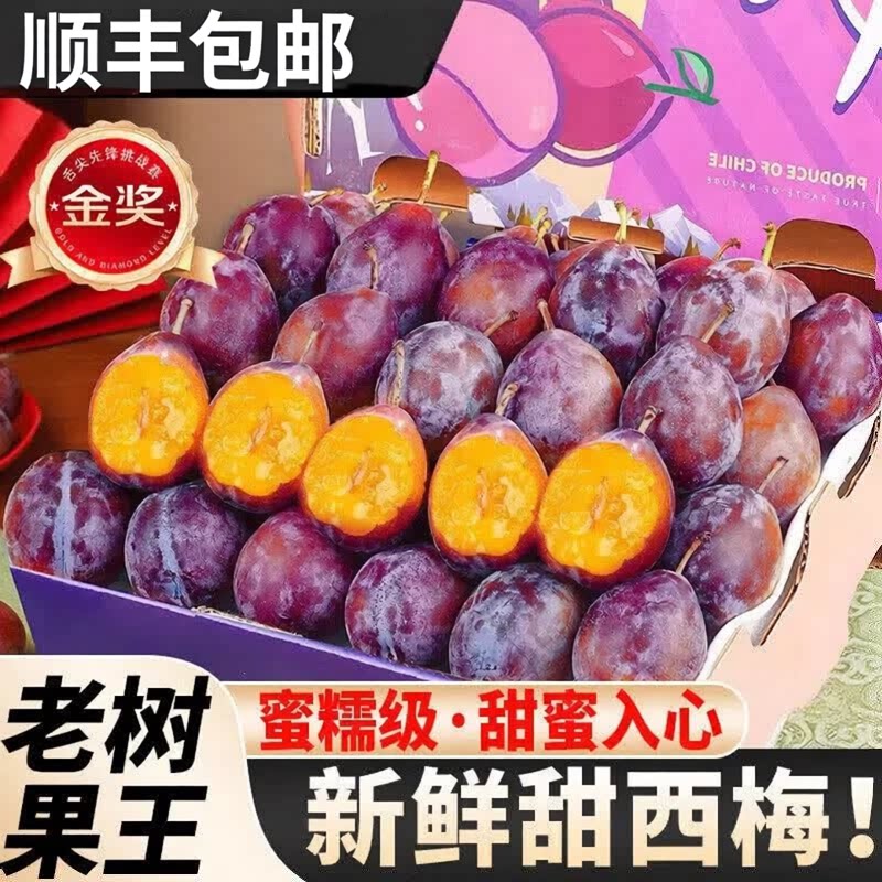 正宗新疆西梅新鲜水果顺丰包邮整箱送人礼装当季李子法兰西甜西梅