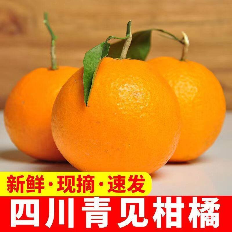 四川青见柑橘果冻橘整箱5/10斤桔子橘子新鲜水果整箱丑柑橘耙耙