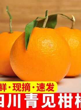 四川青见柑橘果冻橘整箱5/10斤桔子橘子新鲜水果整箱丑柑橘耙耙