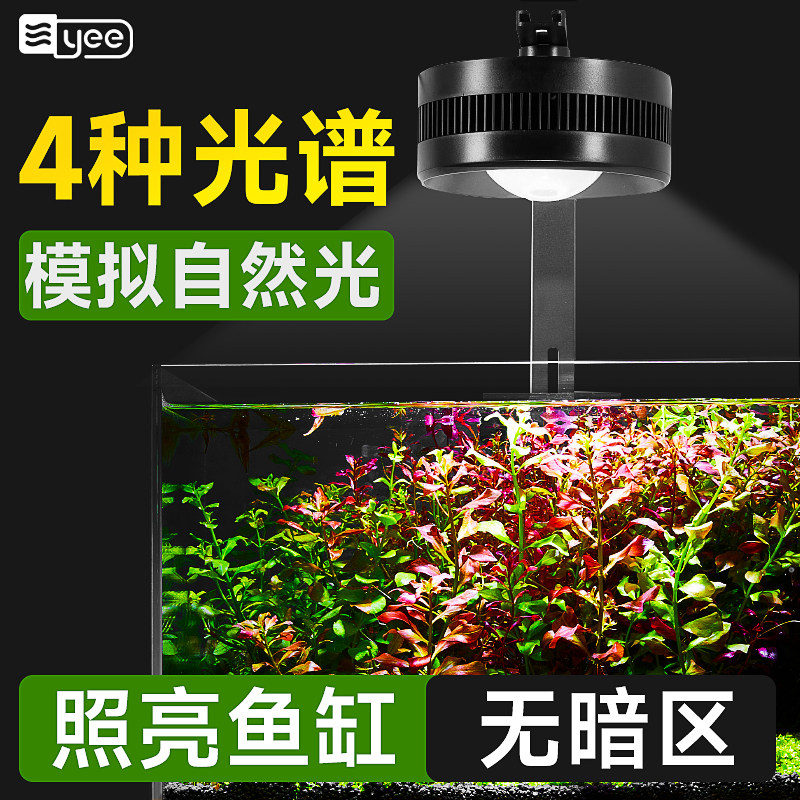 鱼缸灯led筒灯原生溪流缸全光谱图片