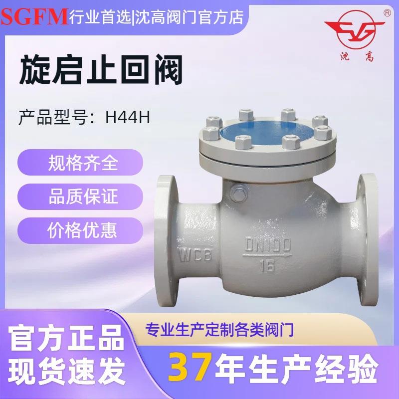 导热蒸汽单向阀油H44H-16C旋启止回阀铸钢高温式逆止回DN200600