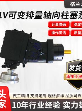 H1V/PV30CDX萨姆Sam高压发泡电动聚氨酯计量泵铸铁材质料液压泵