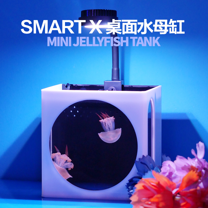 SmartX小型桌面水母缸鱼缸生态发光水母饲养缸七彩变色儿童节礼品