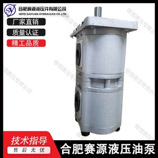 E563 CFPR F520 F532 双联泵 F525 合肥赛源齿轮泵CBQL