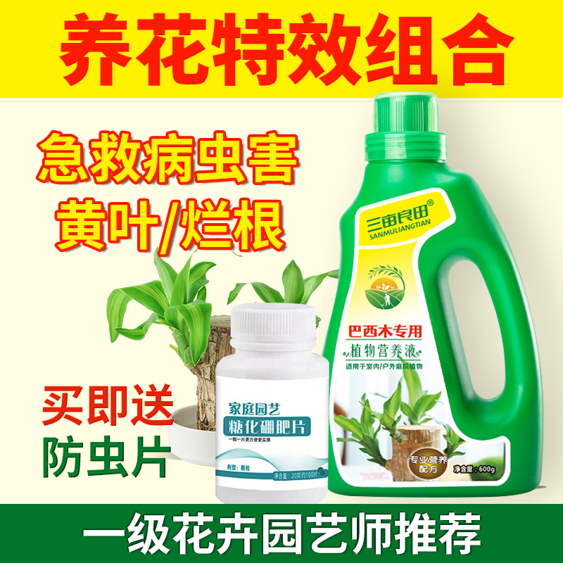 巴西木专用营养液多肉优芽素月季花三角梅的植物土壤活化剂金钱树