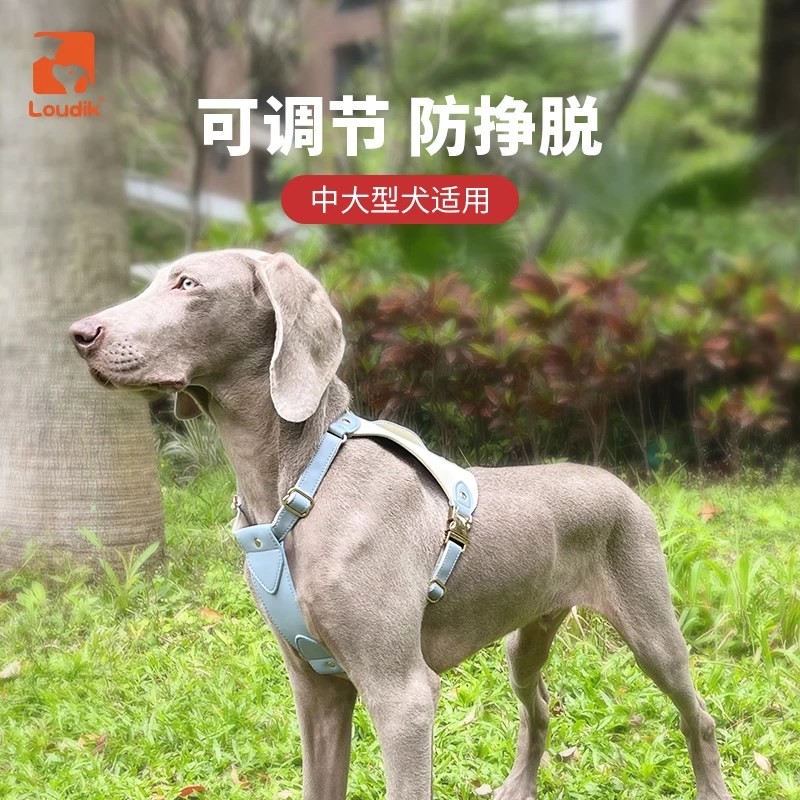 Loudik防水狗狗胸背带真皮牵引绳遛狗绳柯基金毛中大型犬宠物用品