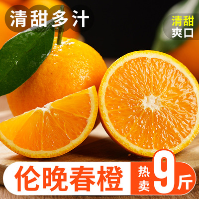 秭归现摘现发伦晚春橙