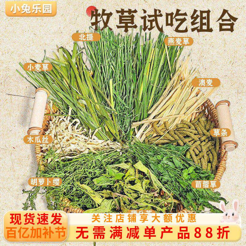 兔子试吃干草牧草提摩西草苜蓿草澳麦胡萝卜缨试吃主食草饲料干草