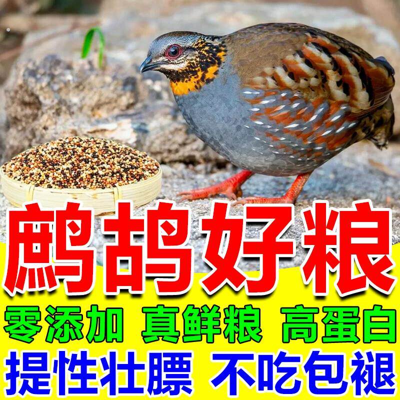 鹧鸪饲料专用鸟粮竹鸡呱呱鸡嘎嘎鸡专用幼鸟提性壮膘混合谷子食