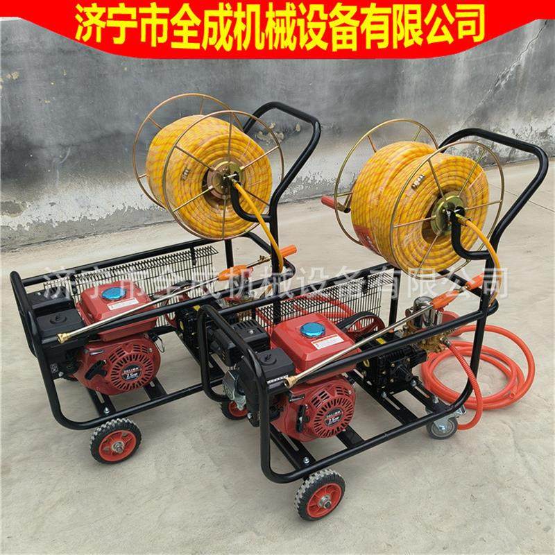 畜牧鸭舍消毒喷雾机 手推车式汽油打药机 树木绿化杀虫喷洒机,农机/农具/农膜,打药机/弥雾机,淘宝优惠券,粉丝福利购,淘宝优惠卷