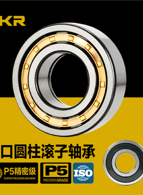 进口DKR圆柱滚子轴承NU230NJ232N234NF236NUP238 240 244 248 252