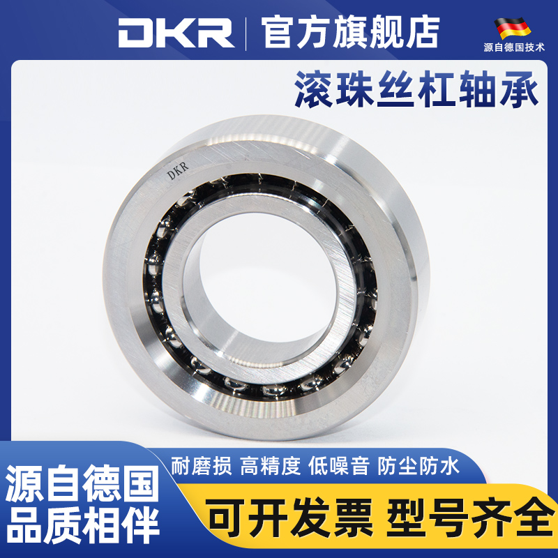 德国DKR进口滚珠丝杠轴承B