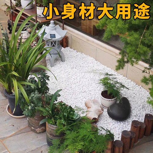 铺地白石子大鹅卵石造景铺路白色石子小白石头50斤装景观庭院石子