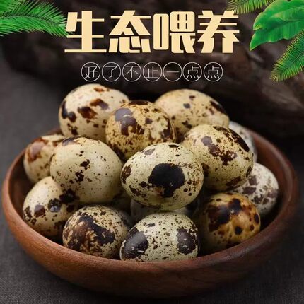 新鲜鹌鹑蛋80枚40枚鹌鹑生蛋农家杂粮喂养小鸟蛋宝宝辅食现捡现发