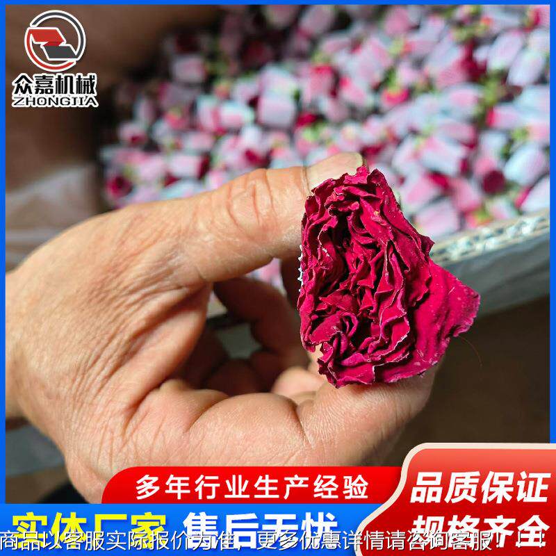 墨红玫真空冻干机 平阴干玫瑰苦水204干玫瑰瑰低温燥机 花茶冻机