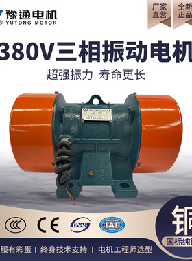 YZS/O/U振动电机380v工业三相异步纯铜仓壁高频震动脱水直线筛