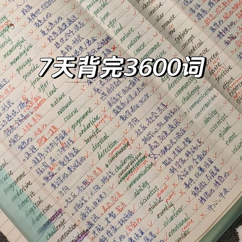 A3背单词拍纸本加厚双面图片