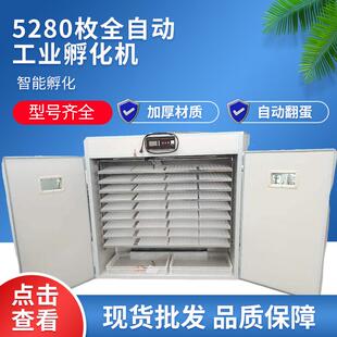 5280全自动孵化机鸡鸭鹅鸽子孵化设备广东汕头澄海狮头鹅蛋孵化机