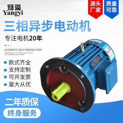 厂家供应YE413S-6极3W三相异步电动机马达全铜线交流电YE3