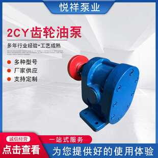 不锈钢齿轮泵增压燃油泵循环抽油泵2CY齿轮油泵 供应2CY齿轮油泵