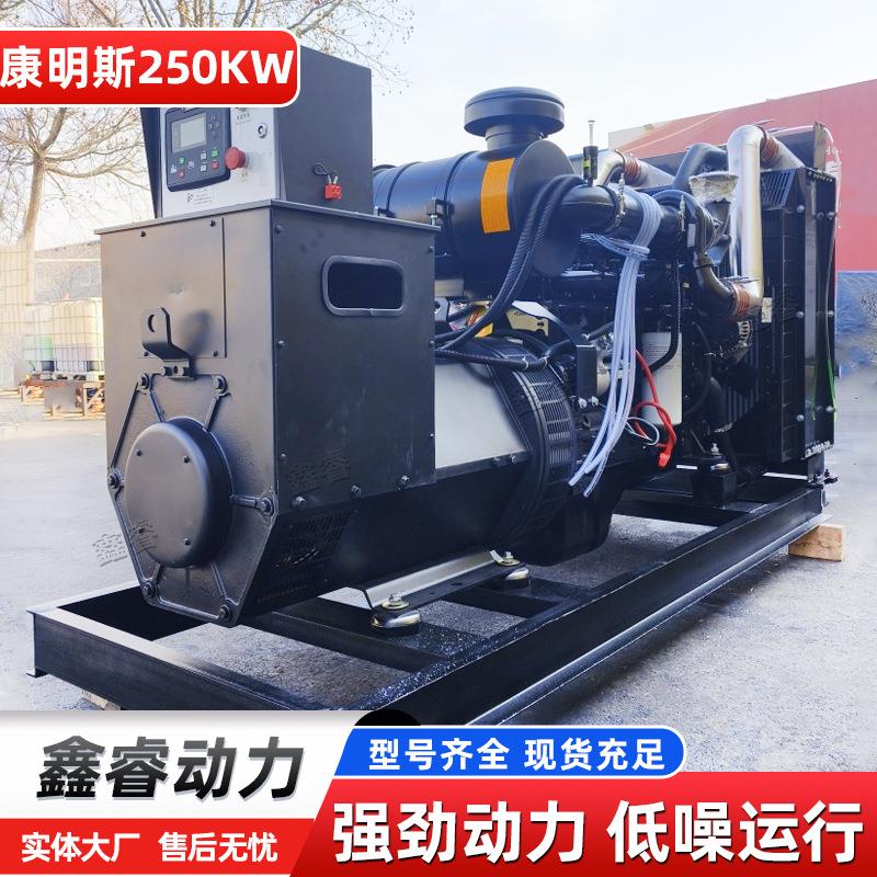 250KW发电机组 移动防雨工地常用备用 多功率柴油发电机组