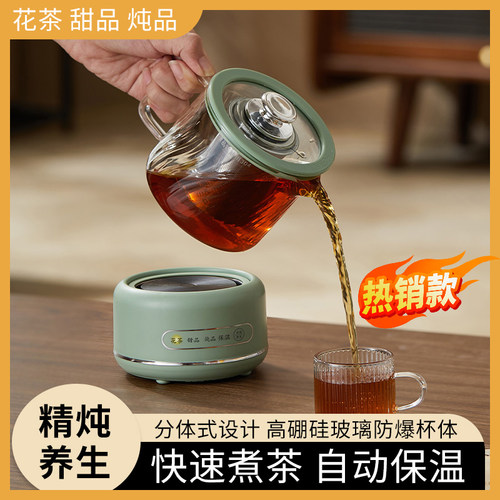 多功能养生壶迷你煮茶器炖煮一体