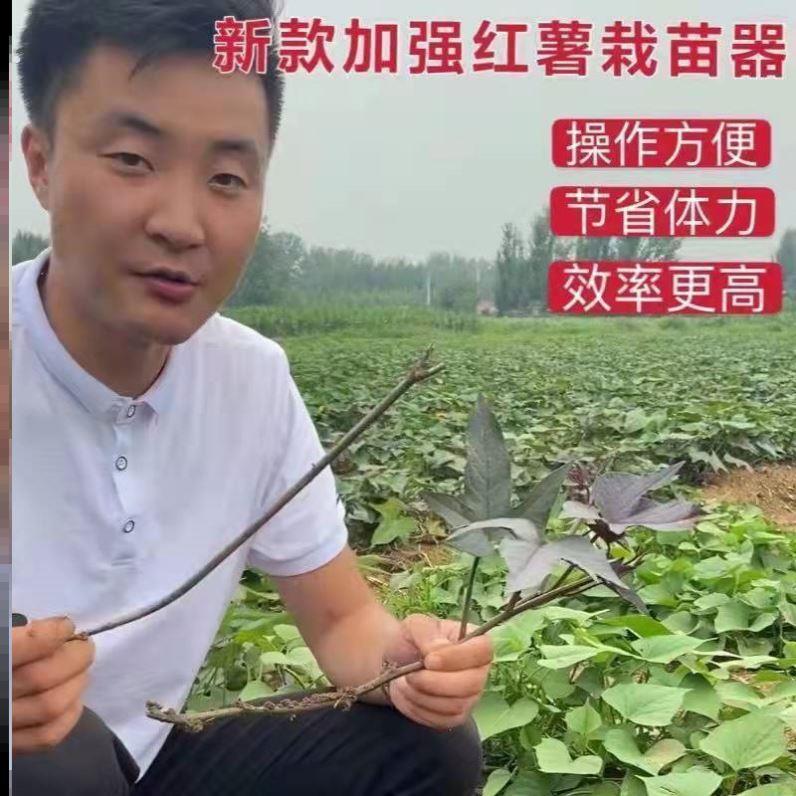 红薯栽苗器地瓜插苗器蔬菜种植工具叉子平栽工具葱苗栽苗器神器