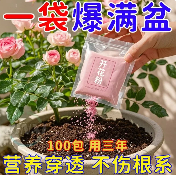 心动声音速效强效玫瑰月季爆花肥