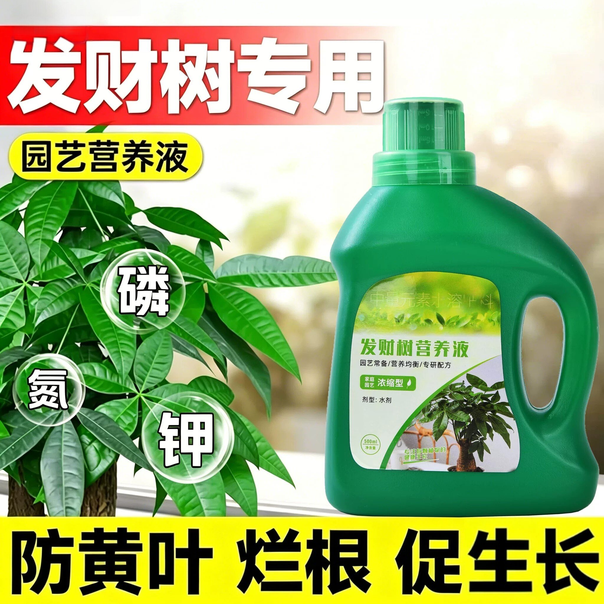 发财树专用浓缩营养液室内盆栽植物金钱树铜钱草绿植喷施家庭园艺