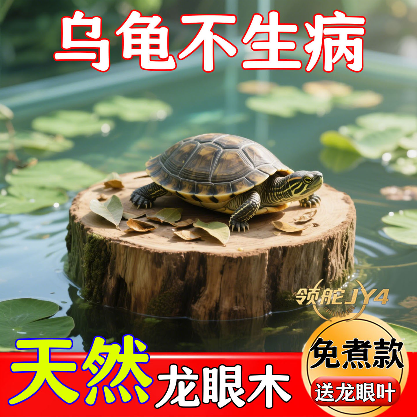 乌龟晒背台高水位天然龙眼木摆件