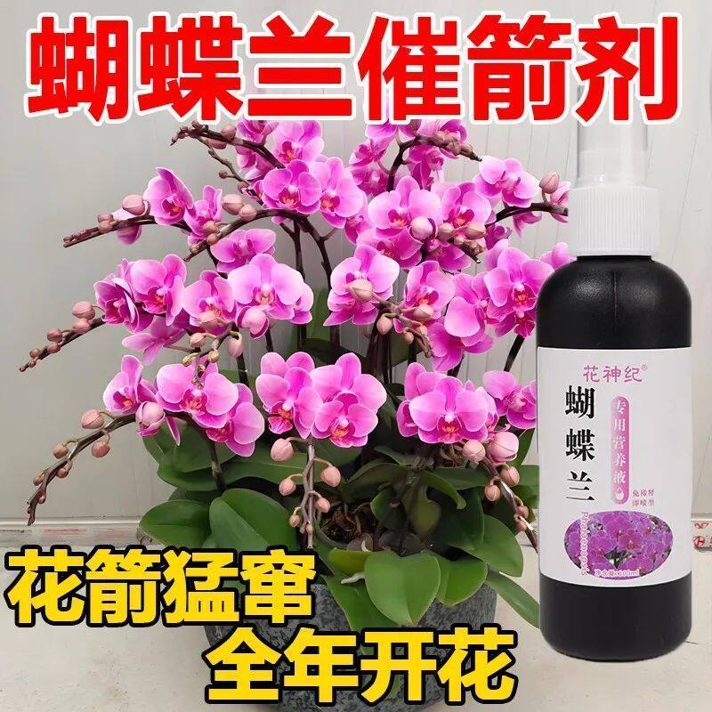 【强效款】蝴蝶兰营养液快速促花剑开花防黄叶烂根延长花期叶面肥