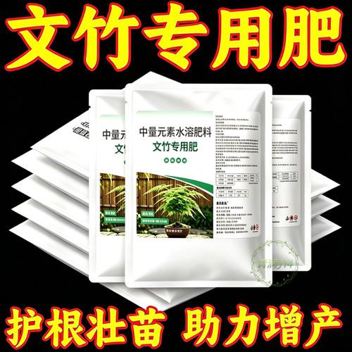 文竹肥料专用肥云竹盆栽叶子发黄竹类通用颗粒有机肥黄叶毛竹文松