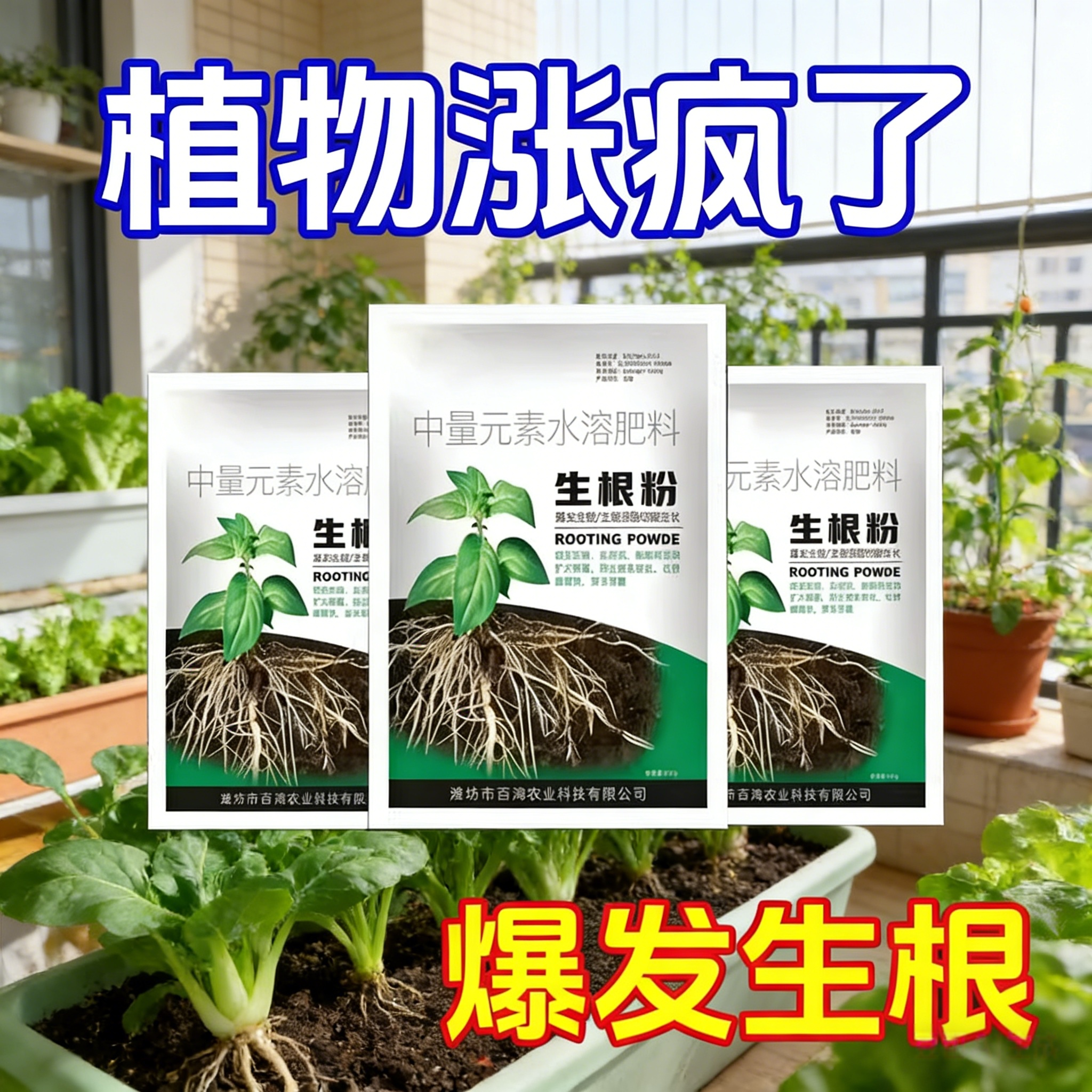 【爆生根】强力爆根粉生根发根系移栽花卉扦插正品通用高纯爆根粉