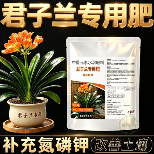 君子兰专用促箭剂防不开花治黄叶