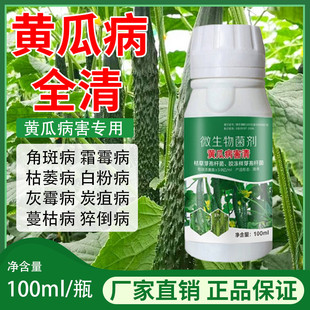 黄瓜病菌清微生物菌剂黄瓜长黄瓜旱黄瓜蔬菜水果专用叶面肥料正品