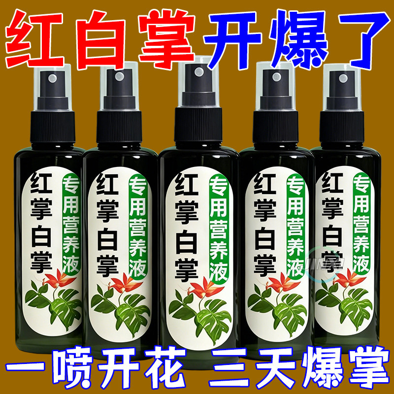 【一帆风顺】白掌专用营养液红掌专用肥保花专治黄叶烂根不开花