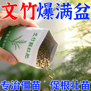 文竹专用肥料土培营养液植物肥有机肥文竹云竹富贵竹棕竹专用肥料