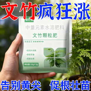 【四季爆芽】文竹专用肥治叶子发黄枯瘦干尖烂根促生长营养液