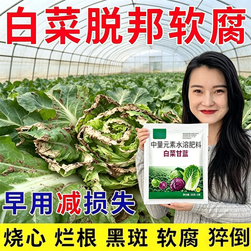 白菜甘蓝防腐包心剂水溶叶面肥叶色厚实加速包心抗寒抗冻抗病增产