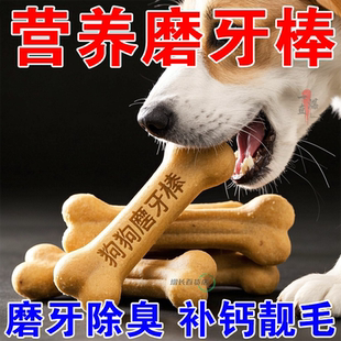 小型犬狗狗磨牙棒幼犬成犬泰迪比熊柯基博美雪纳瑞耐咬骨状便宜
