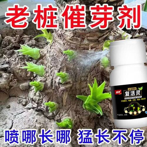 复活灵一喷绿氨基酸叶面肥通用