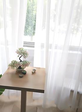 处理白沙帘窗帘透纱遮帘半光装现代08475简光约梦幻饰仙气白纱客