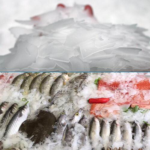 3flake ice 316maker 00鲜kg海鲜助餐自鱼鳞片制冰机冷藏保片冰机