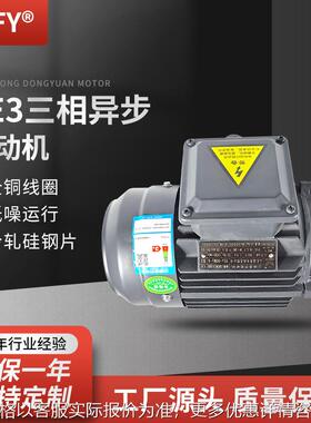 三相异步电动机 YE3-80S/M1/M2-4极电机 380V 0.37W-0.75W马达