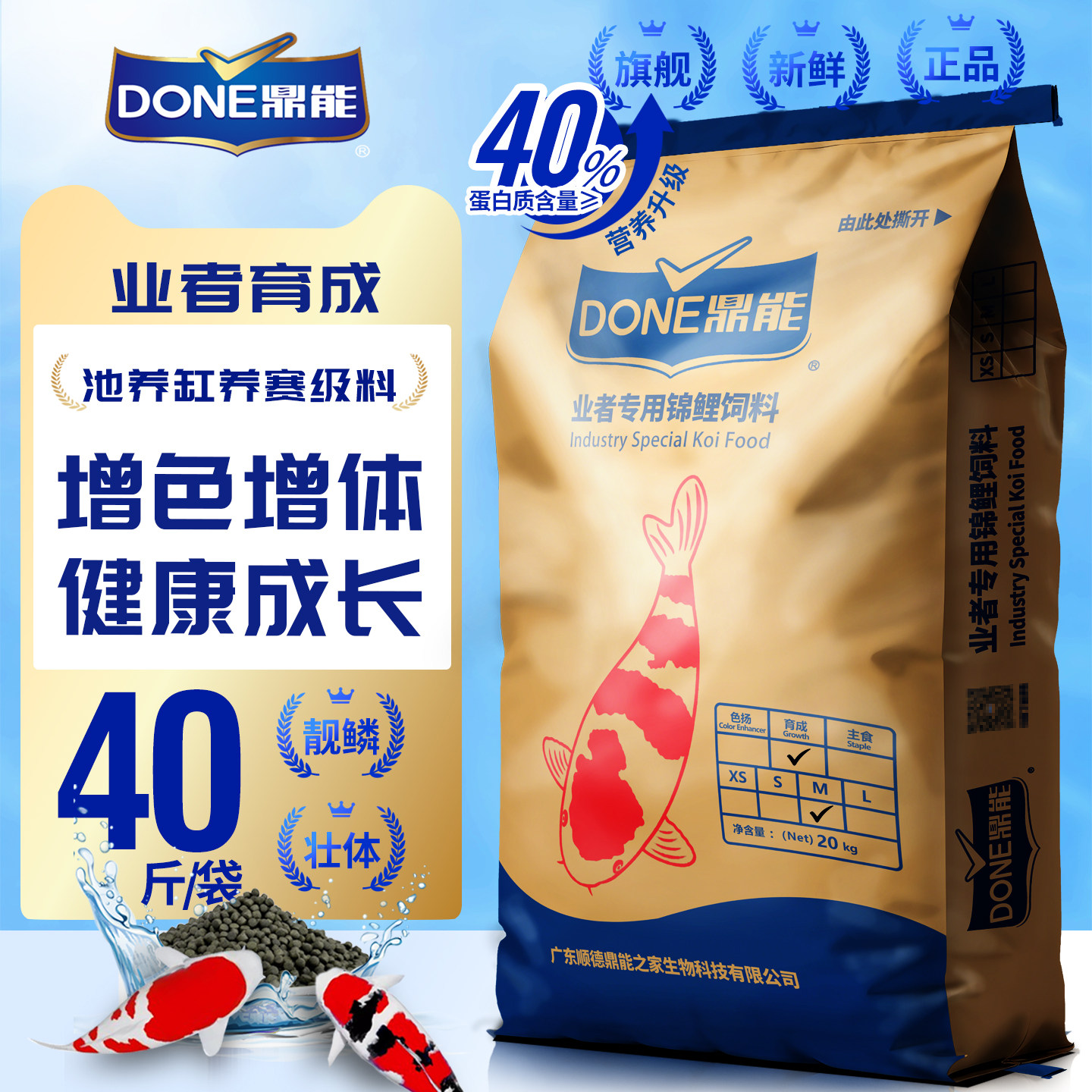 鼎能锦鲤鱼专用饲料高蛋白上浮不浑水观赏金鱼育成色扬养殖场粮食