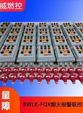 BWLK-FQX转炉烘烤器熄火自动检测装置