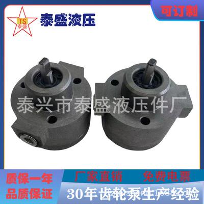 1RA-2FSCRACYPDRAIRABMB-3FS润滑泵可逆式摆线双向油泵DRP