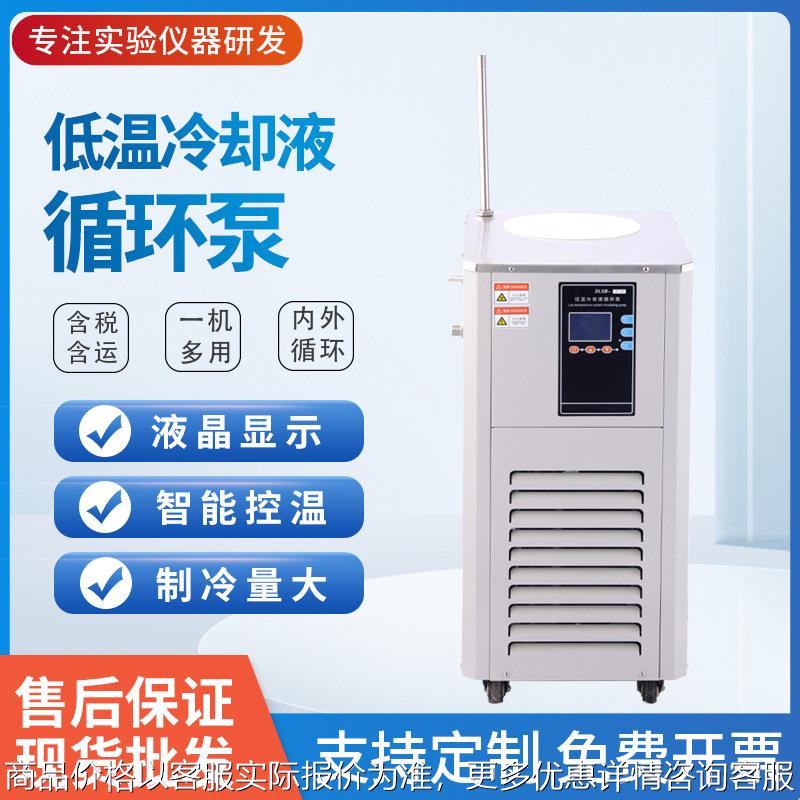 低温冷却液循环泵DLSB-5L 10L 20L低温冷却循环泵低温槽厂家供应