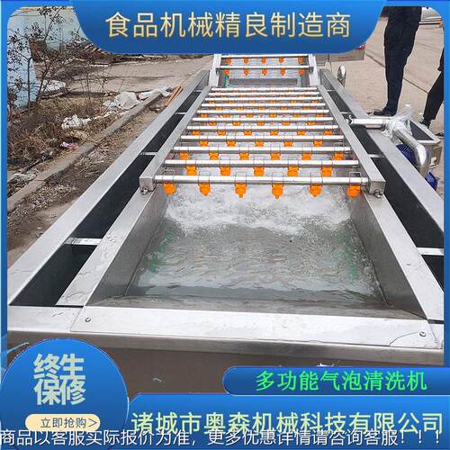 蔬气泡清机 不锈钢全自动蔬菜清洗洗机 MAGA-102压淋洗菜喷机果设
